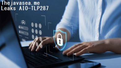 thejavasea.me leaks aio-tlp287