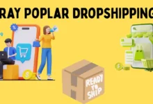 Dropshipping with GrayPoplar